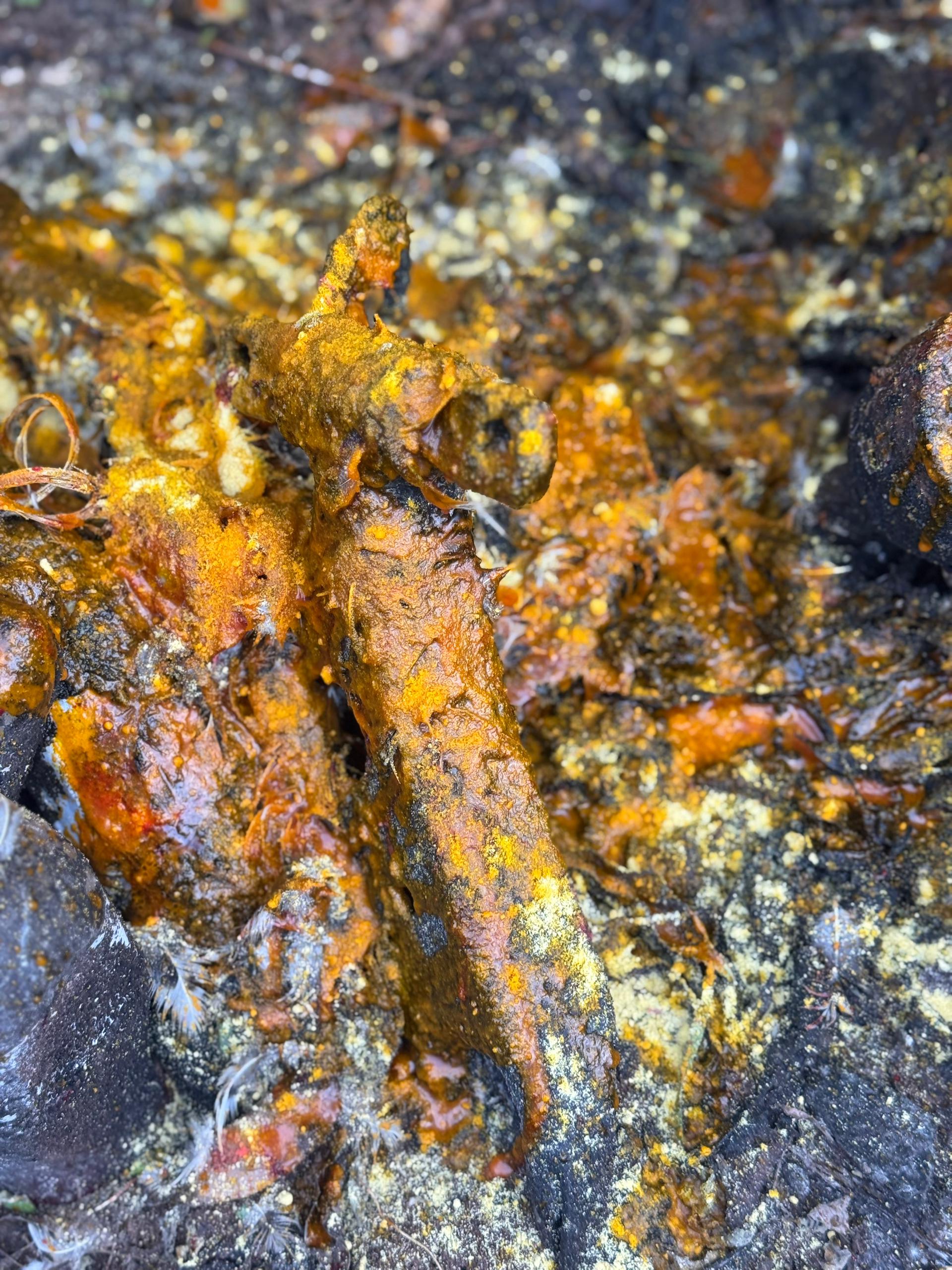 OGOU gegen mystische Angriffe