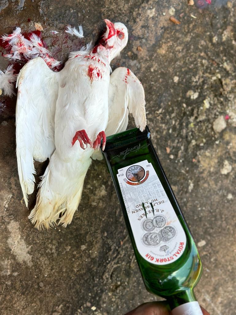 Schutz vor Verwünschungen